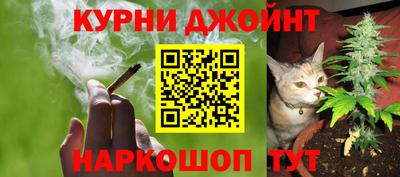 мяу мяу мука Кулебаки