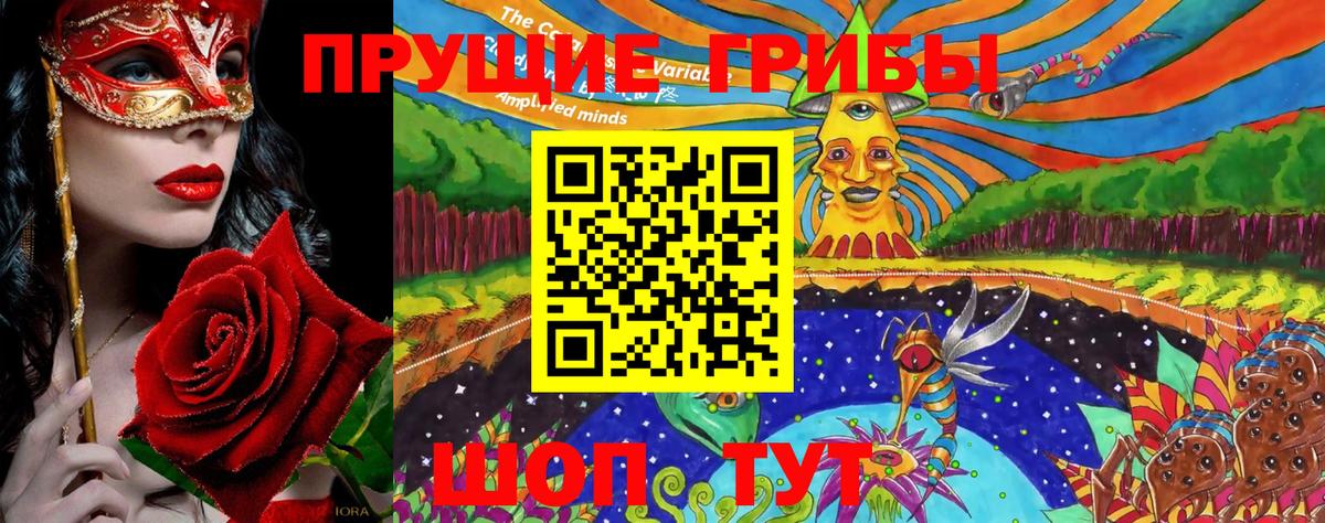 Псилоцибиновые грибы Cubensis  Вход с VPN  Находка 